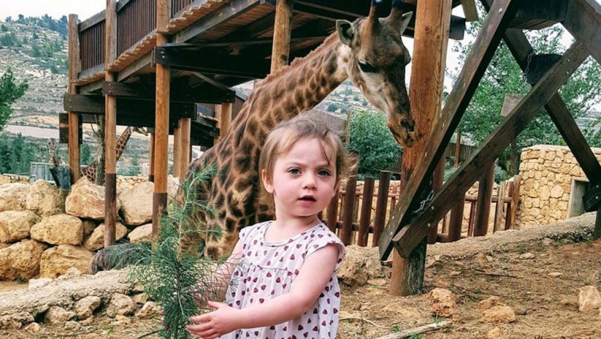 חוגגים בגן התנכ”י בירושלים את “טו בשבט הגיע חג לאריות”