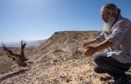 “תשליך” גרסת הטבע