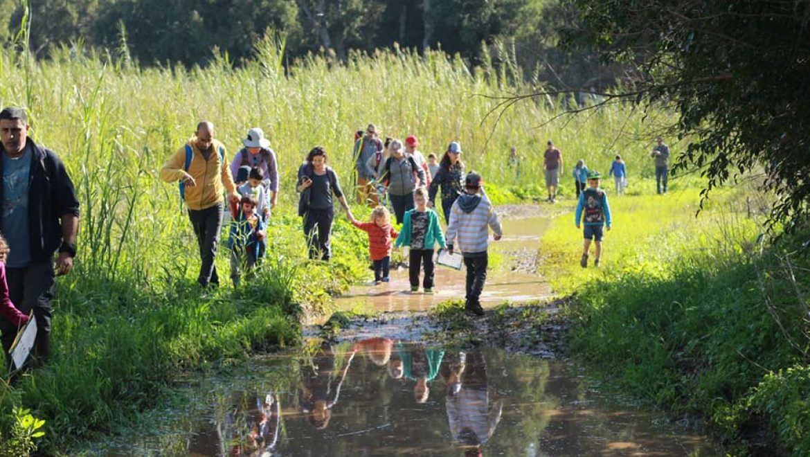 צעדת בוץ במגפיים: המשפחות מוזמנות לגן לאומי ירקון