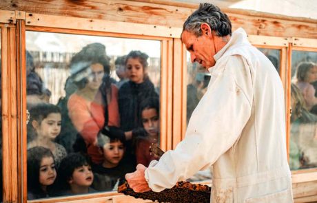 לציון ‘יום הדבורה הבינלאומי’: המשפחות מוזמנות לביקור במכוורות
