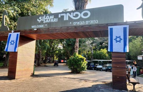 ספארי ר”ג מקיים יריד עוטף ישראל וגם האריות ממתינים לביקור המשפחות