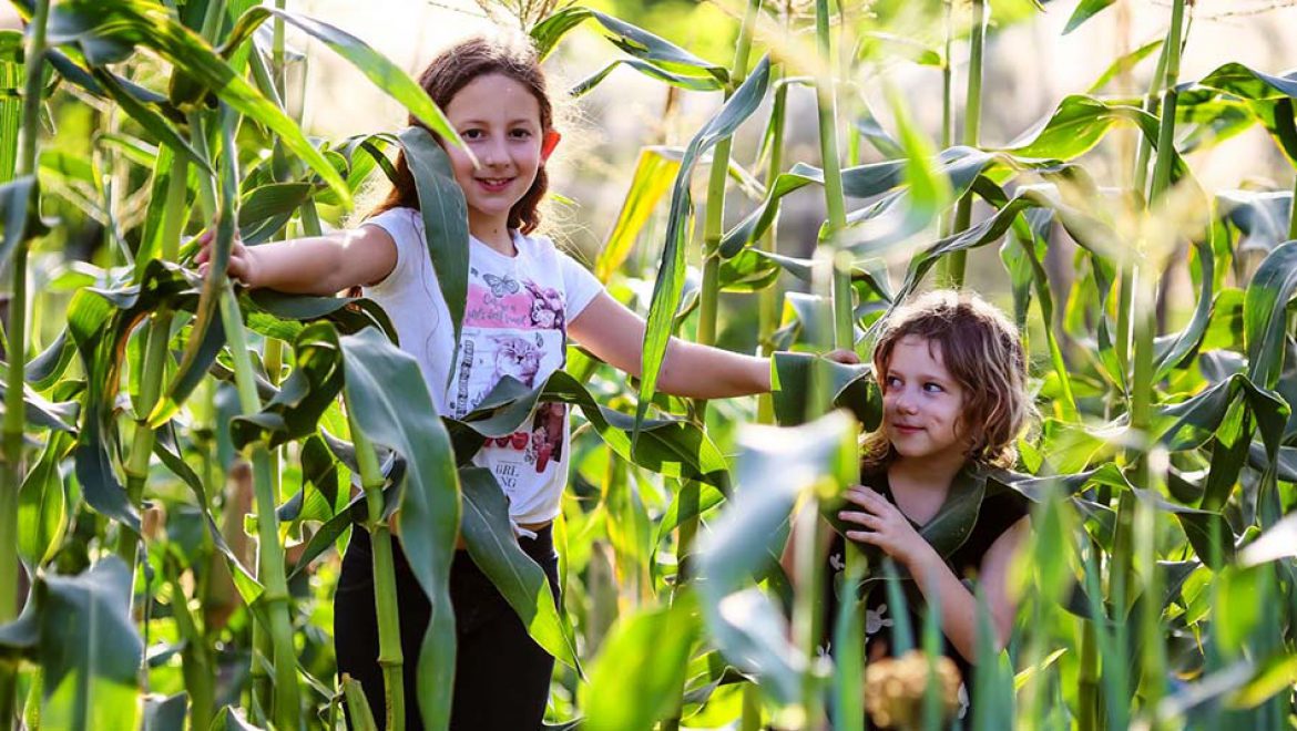 פותחים את השנה עם “קלחים ומבוכים” בפעילות חווייתית לכל המשפחה