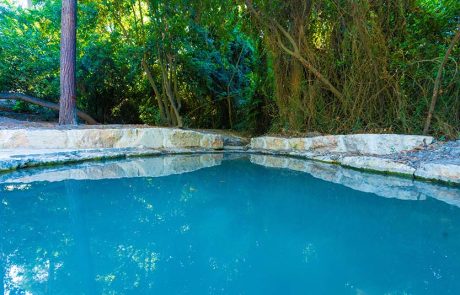 טיול חווייתי בנחל השופט: טבע והיסטוריה לכל המשפחה