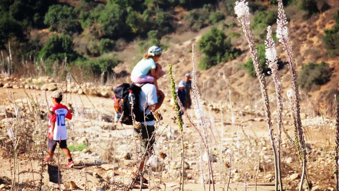 פותחים שנה בטבע הישראלי עם כל המשפחה