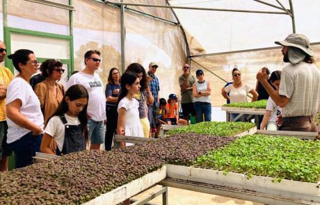 פסטיבל ‘חגיגה בלבן’ בחבל מודיעין, כל המשפחה מוזמנת