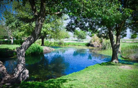 המשפחה בוחרת לטייל: המלצות לתצפיות על פרחים ציפורים ונופים
