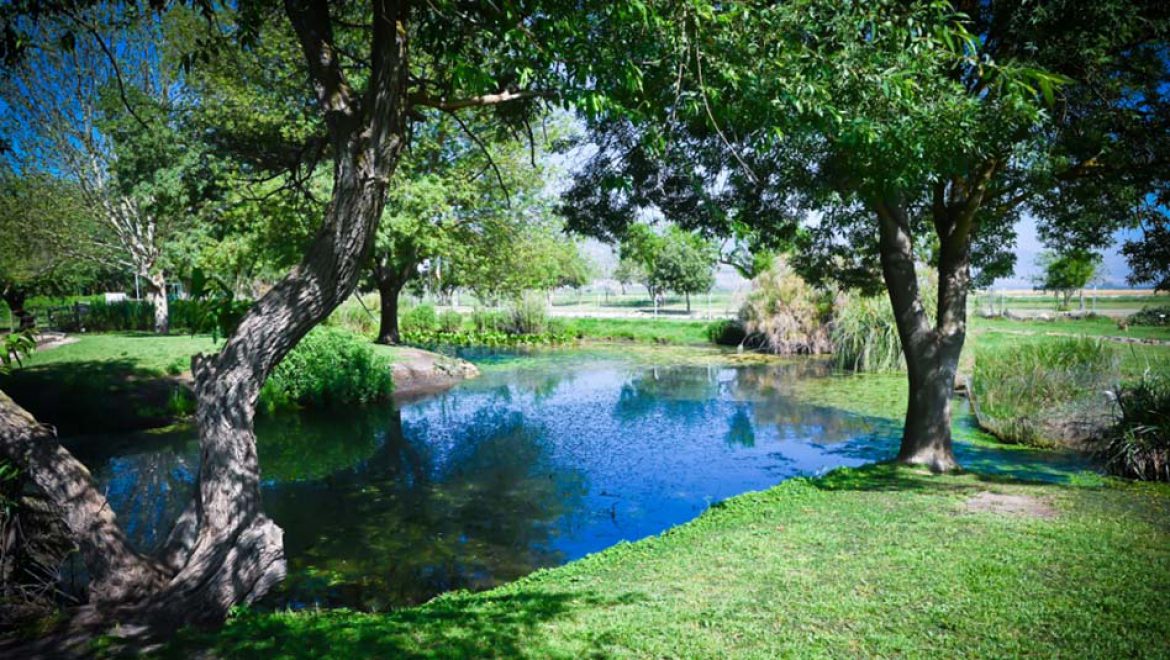 המשפחה בוחרת לטייל: המלצות לתצפיות על פרחים ציפורים ונופים