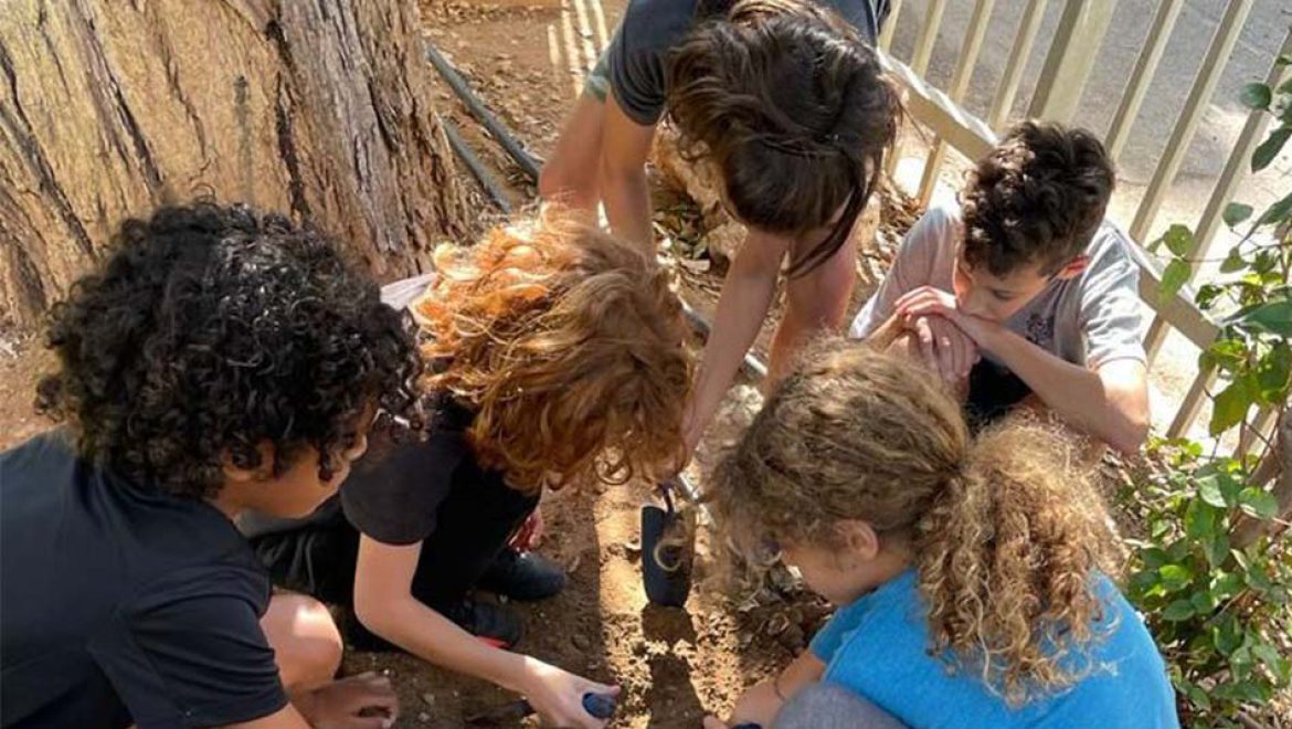 “זורעים למען העתיד”: עשרות אלפי ילדים משתתפים בזריעת פרחי בר