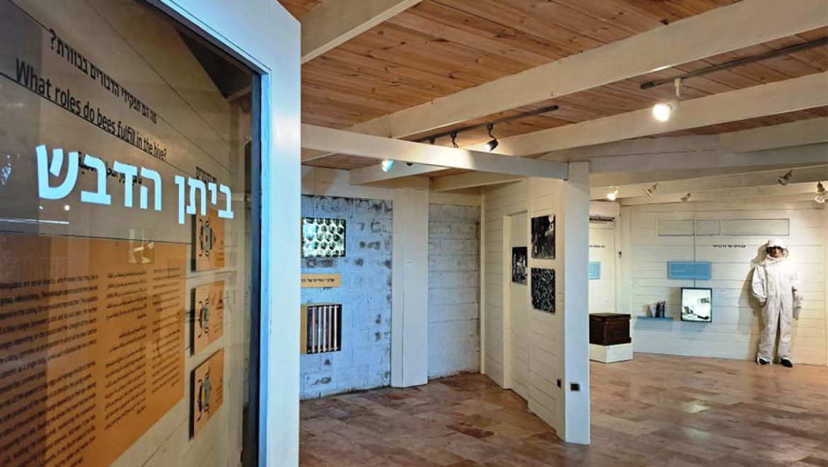 נפתח ביתן הדבש ב’מוזיאון העמק’ בקיבוץ יפעת לאחר פרויקט התחדשות