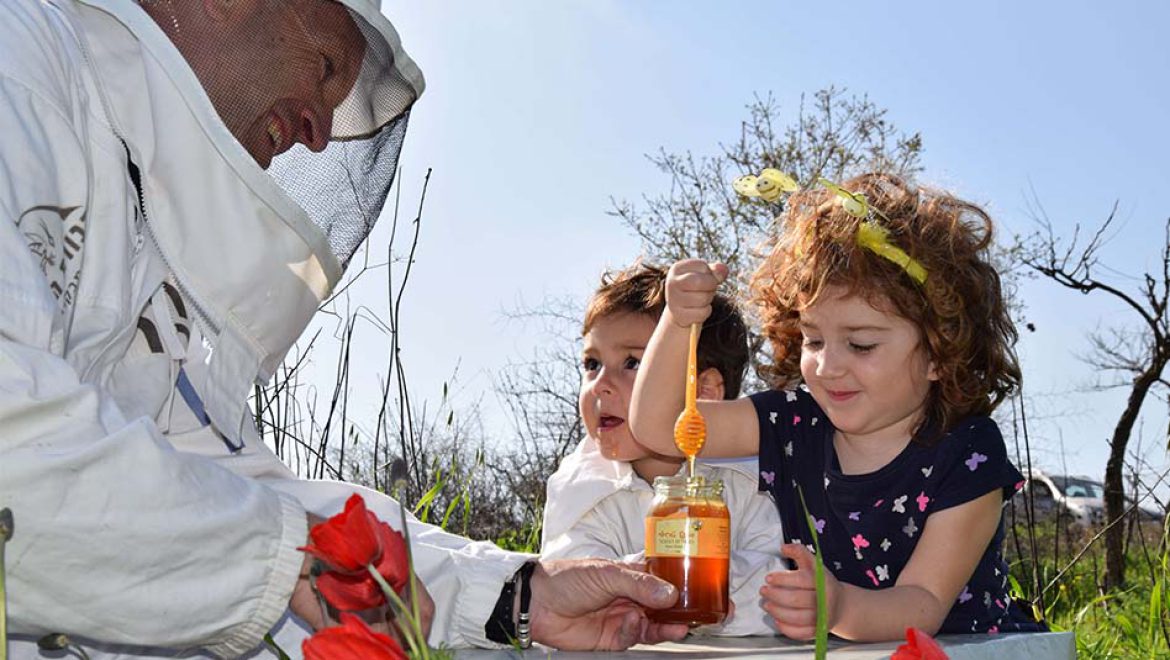 רק דבש ישראלי: פעילויות לכל המשפחה במכוורות ברחבי הארץ