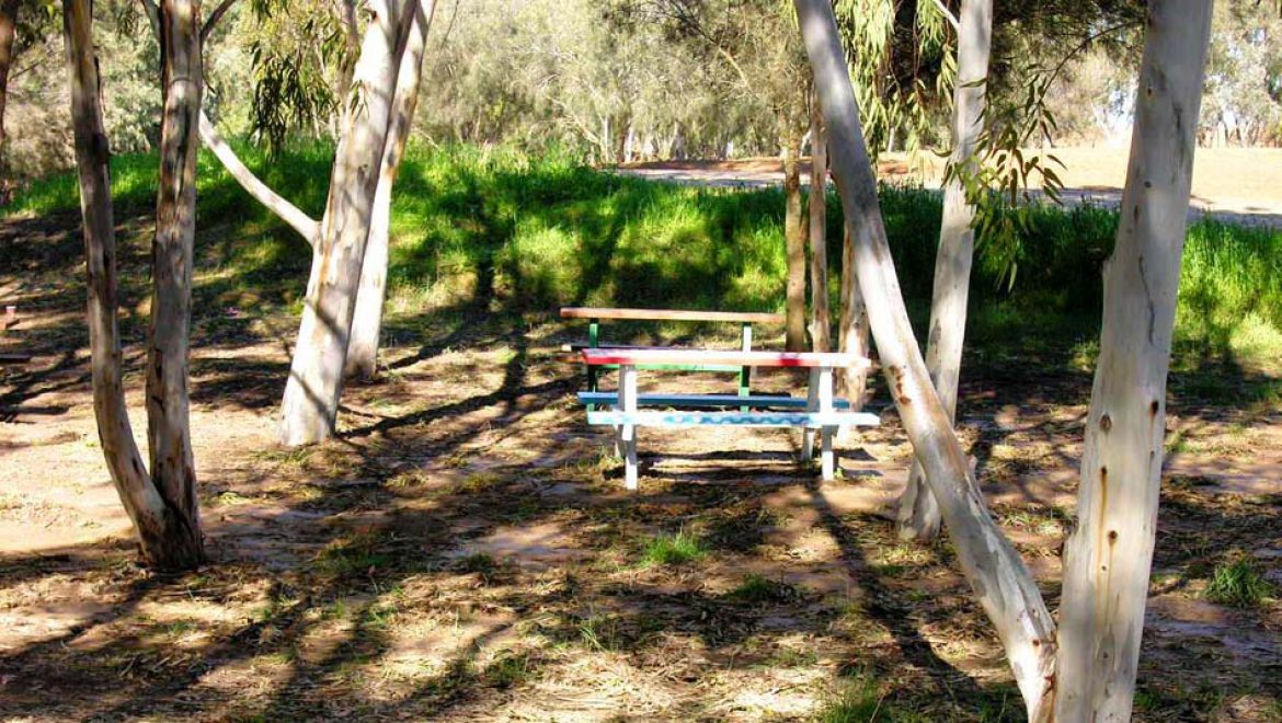 סיורי שישי קסומים ביחד עם קק”ל