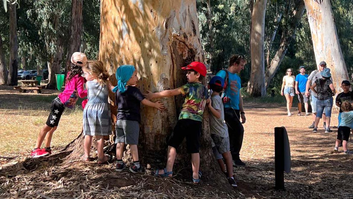 הכירו את גן לאומי ירקון: הריאה הירוקה של גוש דן