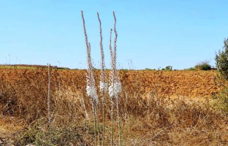 שמורת בתרונות בארי: מטיילים בין חצבים לאתרים