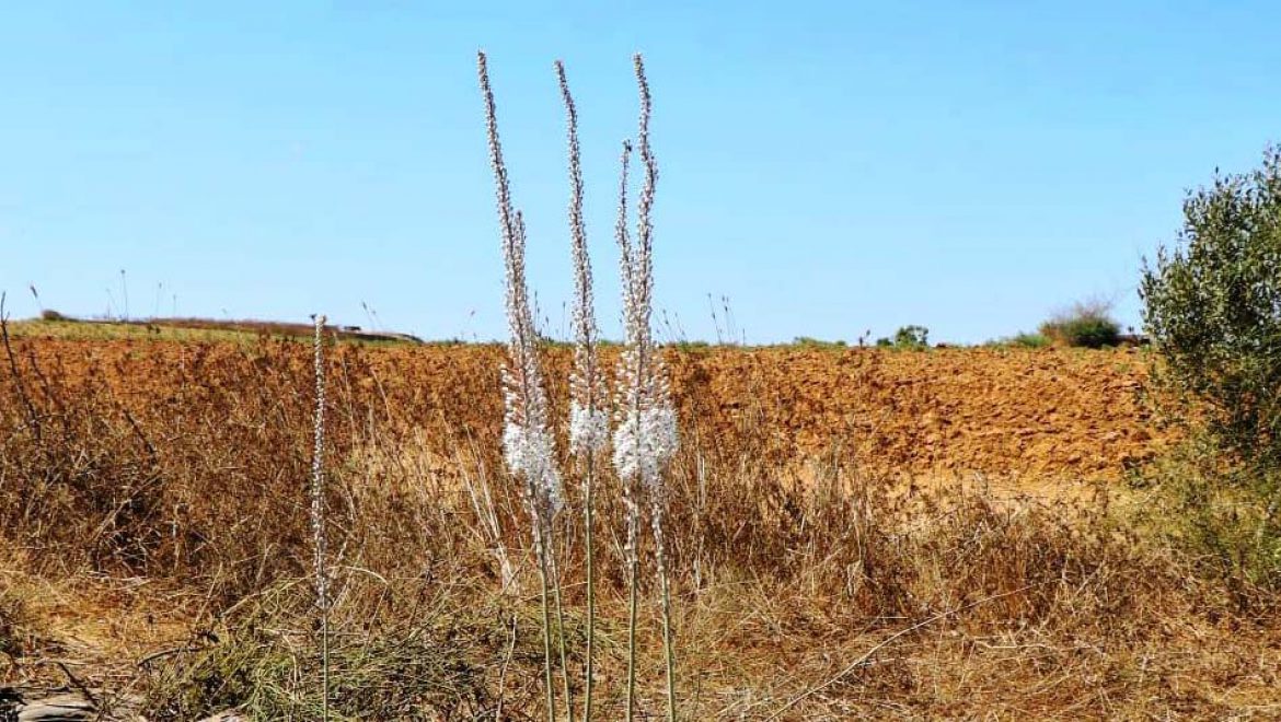 שמורת בתרונות בארי: מטיילים בין חצבים לאתרים
