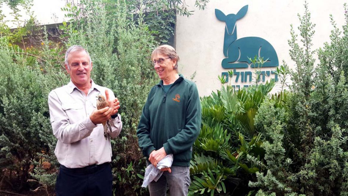 להציל את חיות הבר: בבית החולים לחיות בר של רט”ג והספארי, בר”ג