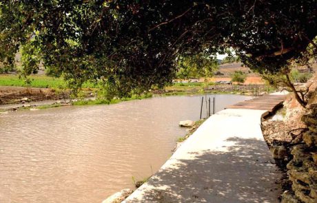 להתרענן בשביל נחל ציפורי: מסלול של קק”ל לקיץ החם