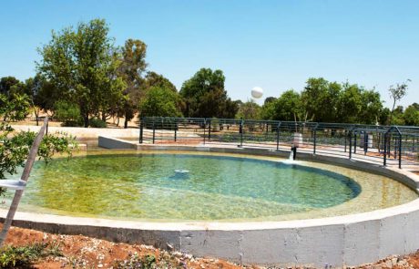 שישי משפחתי ביוני: קרן קימת לישראל מזמינה למגוון אירועים