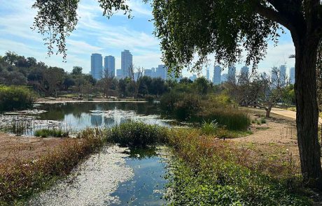 חגיגת ט”ו בשבט משפחתית, בבוסתן מוז”א, מוזיאון ארץ־ישראל, ת”א