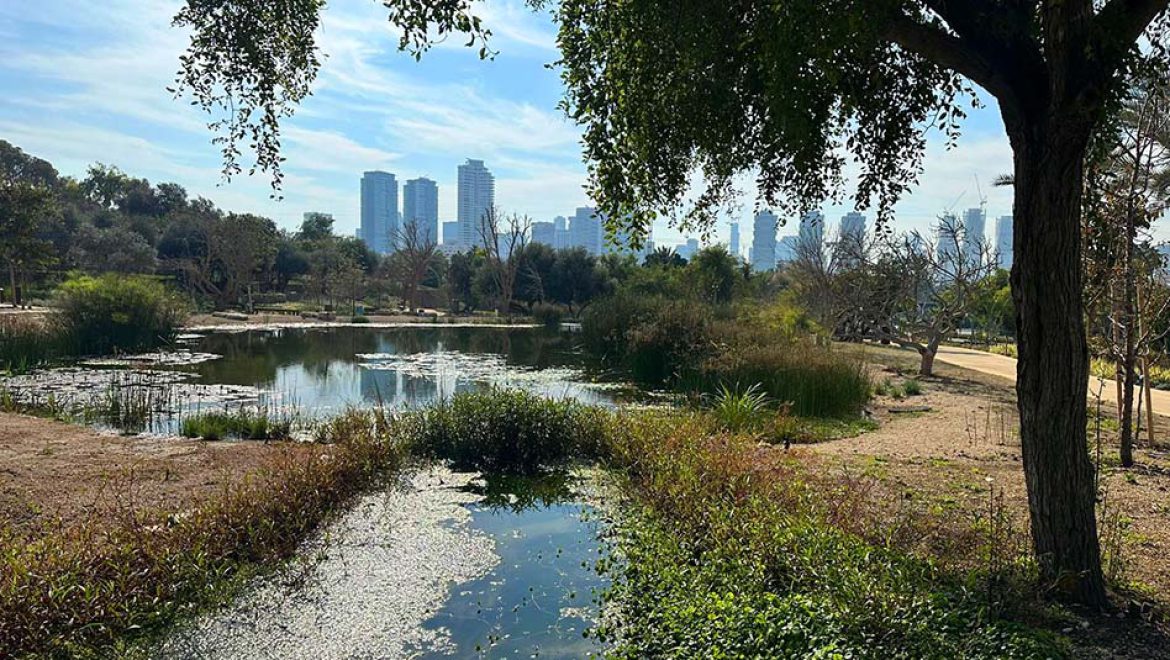 חגיגת ט”ו בשבט משפחתית, בבוסתן מוז”א, מוזיאון ארץ־ישראל, ת”א