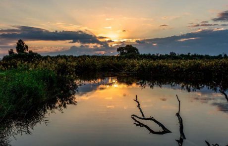 המשפחה יוצאת אל הטבע עם זמן גליל המערבי