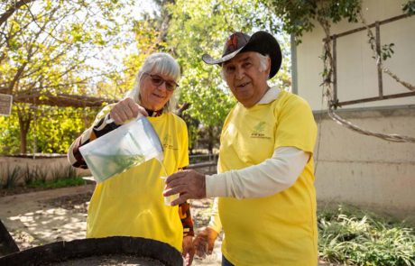 סוכות במבוך מרים: בשביל התבלינים והבשמים