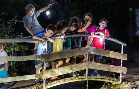 מטיילים בגולן: המשפחות מבלות בשעות הנעימות של הקיץ