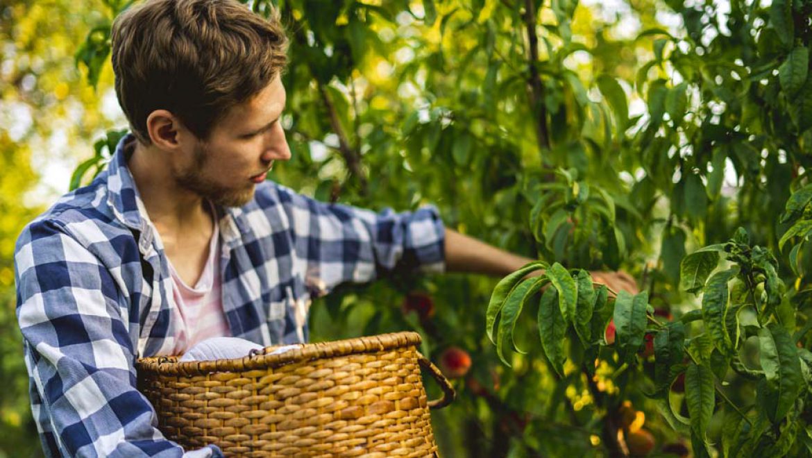 בגלל המצב – נא לבטל הבחינות!