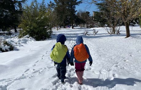 אפשר לגלוש בחרמון ואפשר גם ליהנות בשלג ללא תשלום
