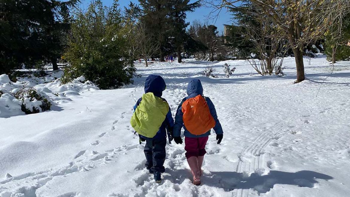 אפשר לגלוש בחרמון ואפשר גם ליהנות בשלג ללא תשלום