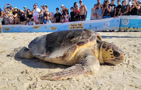 מלני ולילוש הוחזרו לטבע