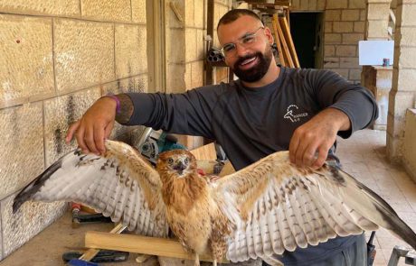 פקק בגרון: עקב עיטי בלע פקק, טופל וניצל בנס