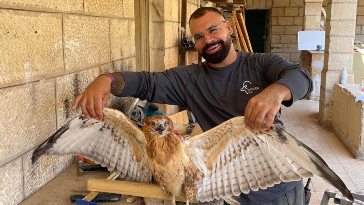 פקק בגרון: עקב עיטי בלע פקק, טופל וניצל בנס