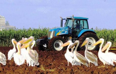 סוכות למשפחות עם זמן גליל מערבי