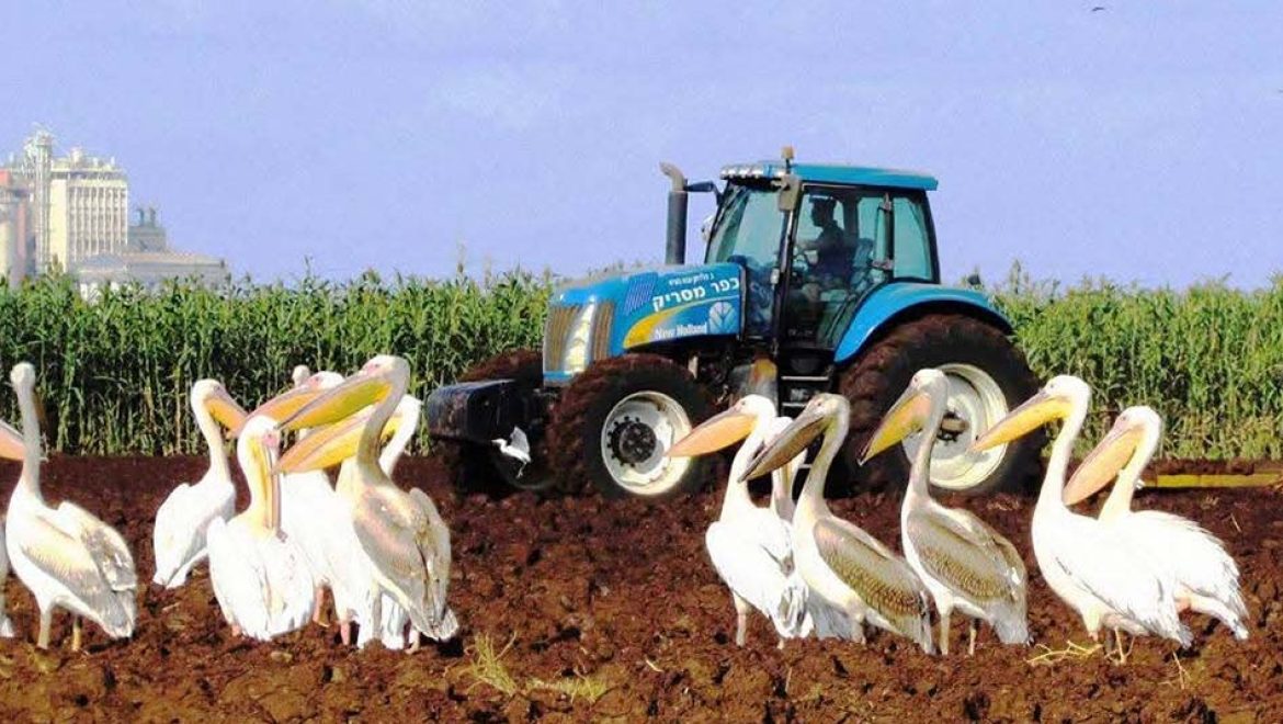 סוכות למשפחות עם זמן גליל מערבי