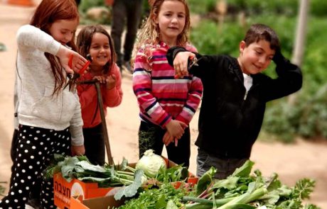 חנוכה חקלאי משפחתי בחוות ‘בין השיטין’ בערבה התיכונה