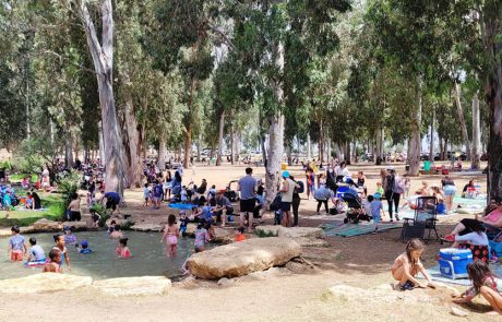 הגנים הלאומיים תל אפק, השלושה, קיסריה ושמורת הטבע עין גדי, בראש