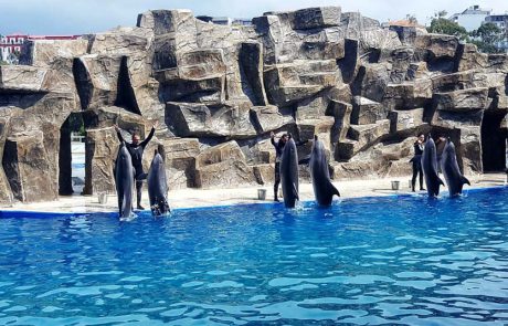 בַּאטוּמי למשפחות: אטרקציות והרפתקאות