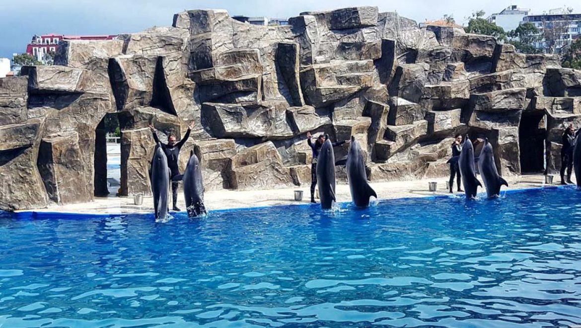 בַּאטוּמי למשפחות: אטרקציות והרפתקאות