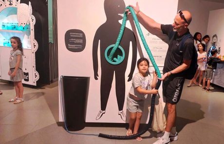 “תחושת בטן”: מסע חוויתי במערכת העיכול