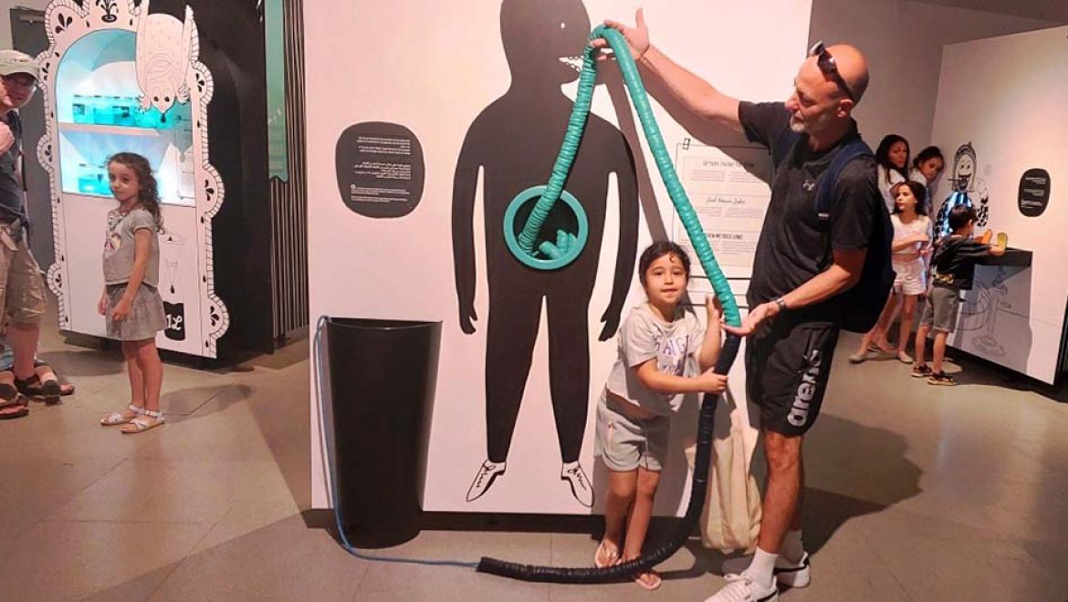 “תחושת בטן”: מסע חוויתי במערכת העיכול