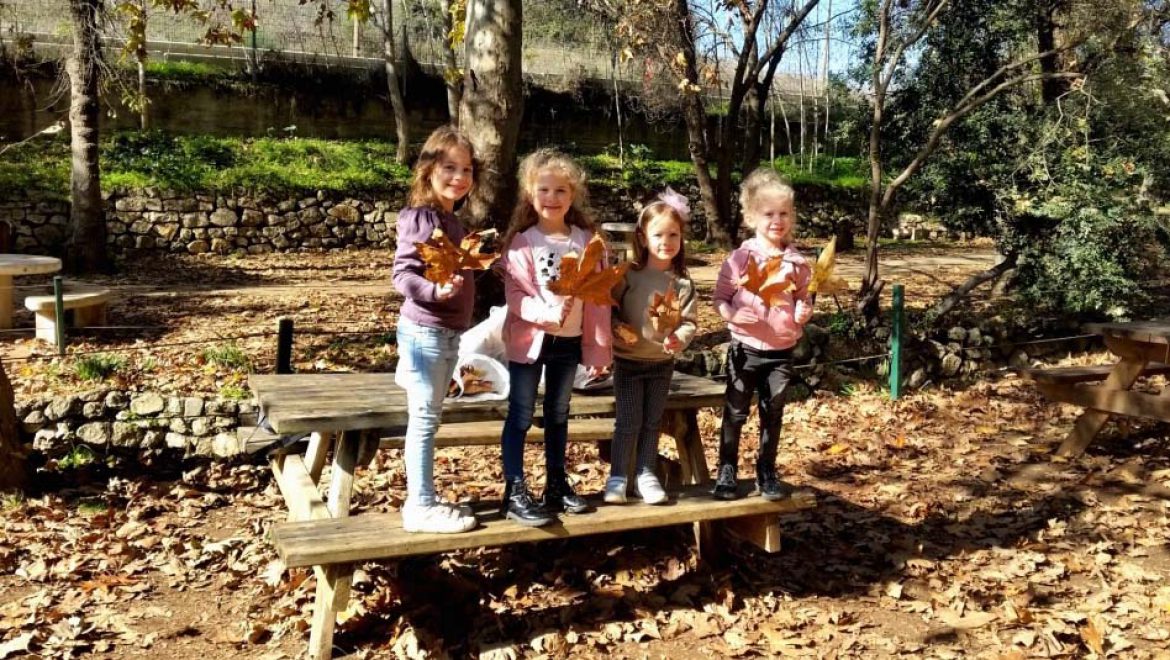 גן לאומי עין חמד: פנינת טבע אליה נחזור מיד לאחר הסגר