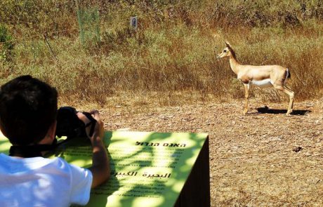 הטיול והשהייה בטבע הם המתכון לבריאות לגוף ולנפש