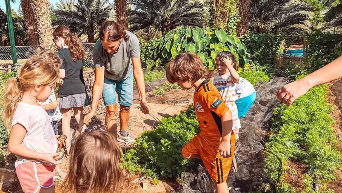 פסטיבל לכל המשפחה בערבה התיכונה
