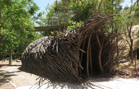 שבת אמנות משפחתית בגן הבוטני גבעת רם בירושלים