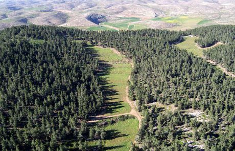 כל המשפחה חוגגת את סוכות ביערות קק”ל
