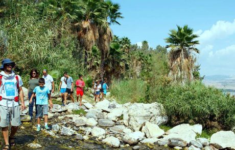סוכות בכינרת: טיולי יום מודרכים ב’שביל סובב כינרת’