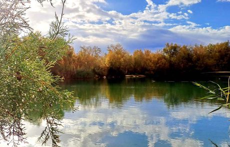 שמורת טבע עינות צוקים: סיורים מיוחדים בשמורת הטבע החבויה
