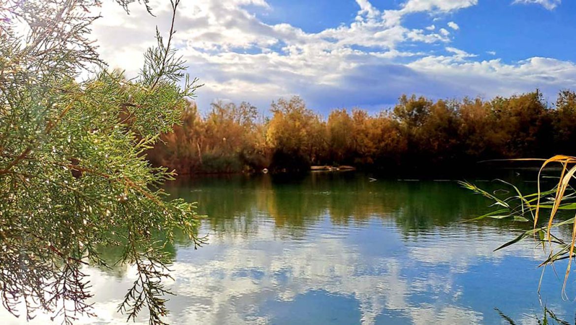 שמורת טבע עינות צוקים: סיורים מיוחדים בשמורת הטבע החבויה