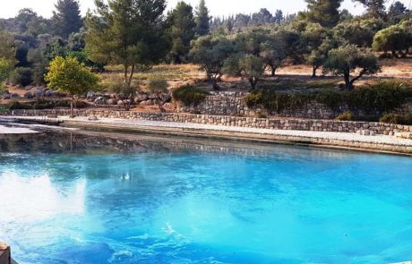 “לצאת החוצה ולהתרענן”: המסלולים של קק”ל לקיץ החם