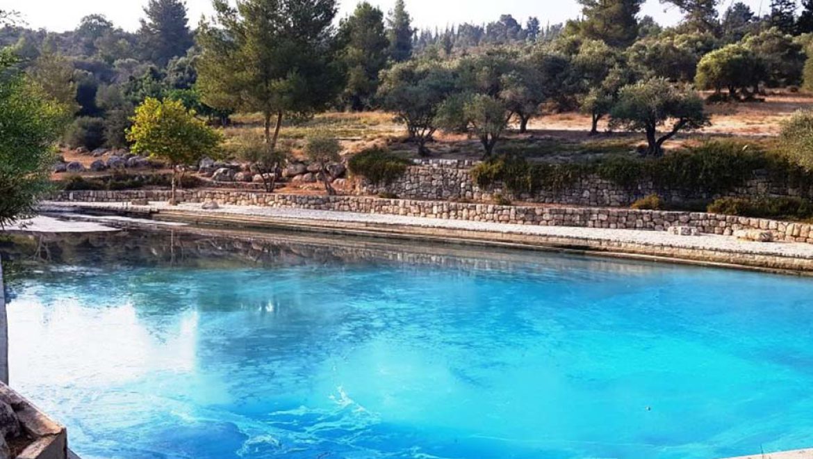 “לצאת החוצה ולהתרענן”: המסלולים של קק”ל לקיץ החם